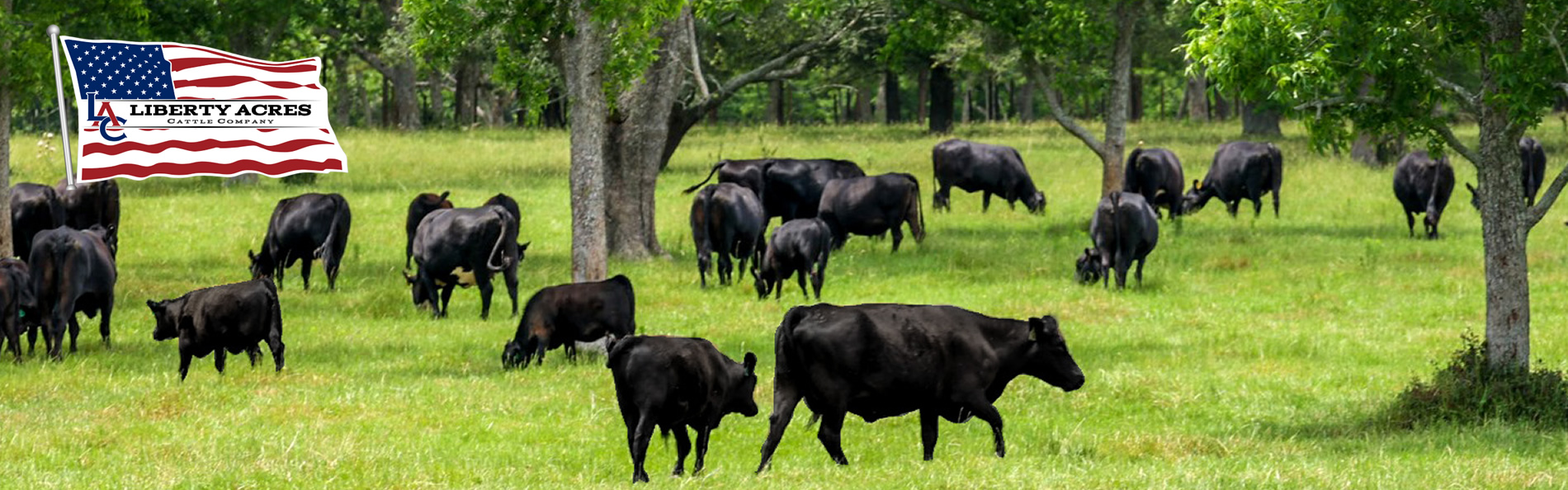 Liberty Acres Cattle Co